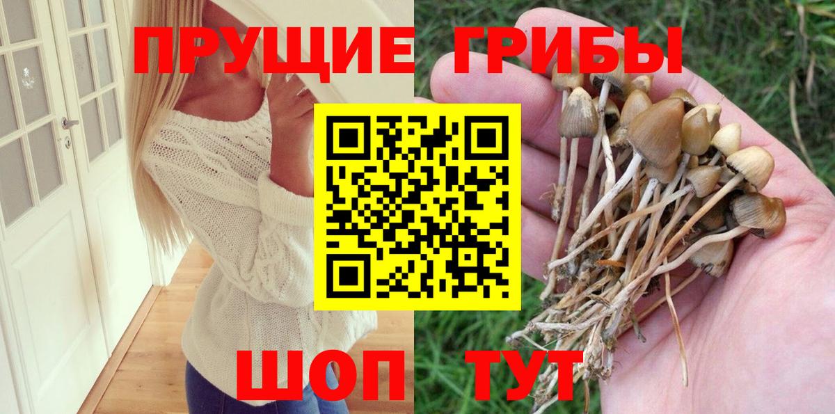 Надым  Галлюциногенные грибы Cubensis  Вход с VPN  Псилоцибиновые грибы Cubensis 